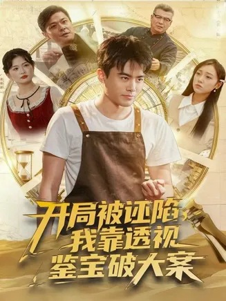 开局被诬陷,我靠透视鉴宝破大案在线观看
