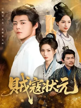 贼寇状元在线观看