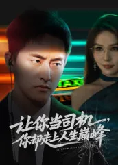 让你当司机，你却走上人生巅峰在线观看
