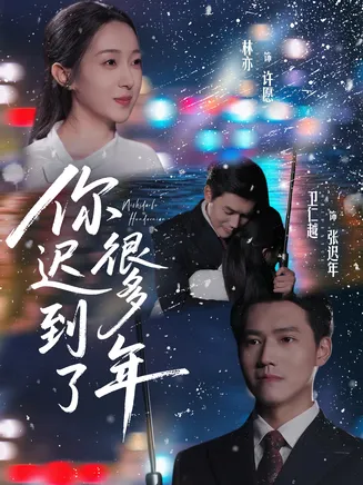 你迟到了很多年在线观看