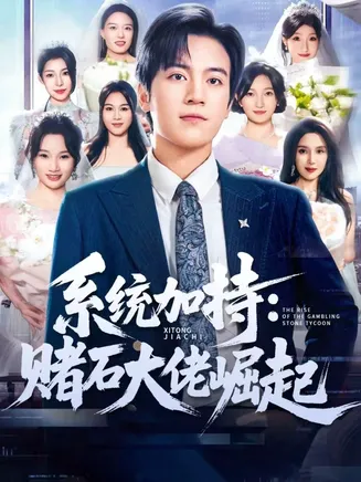 系统加持：赌石大佬崛起在线观看