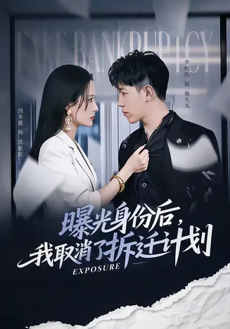 曝光身份后，我取消了拆迁计划在线观看