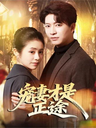 宠妻才是正途在线观看