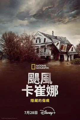 飓风卡特里娜：隐藏的伤痕在线观看
