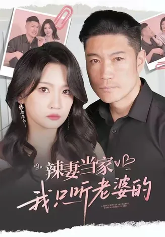 辣妻当家，我只听老婆的在线观看