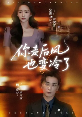 你走后风也变冷了在线观看