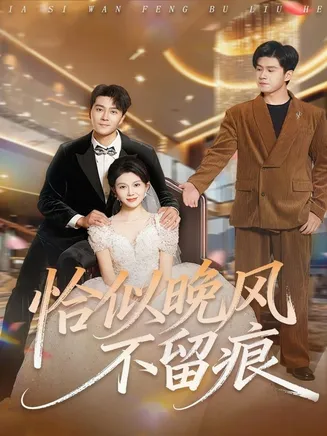 恰似晚风不留痕在线观看