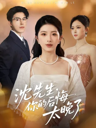 沈先生，你的后悔太晚了在线观看