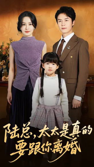 陆总太太是真的要跟你离婚在线观看