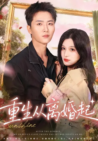 重生从离婚起在线观看