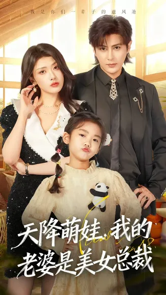 天降萌娃，我的老婆是美女总裁在线观看