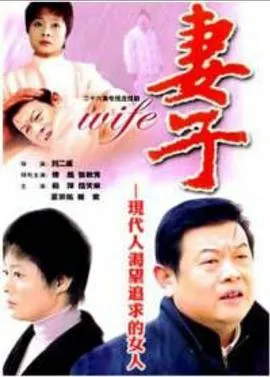 妻子2004[电影解说]在线观看
