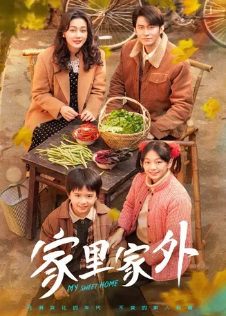 家里家外第一季在线观看