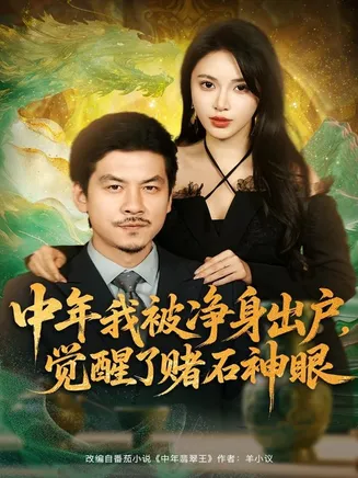 中年我被净身出户,觉醒了赌石神眼在线观看
