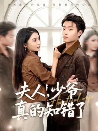 夫人,少爷真的知错了在线观看