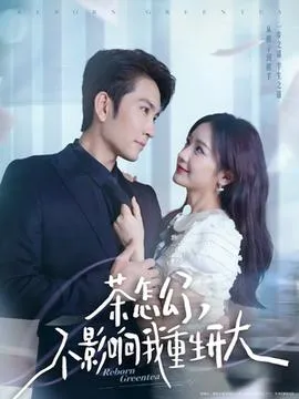 茶怎么了不影响我重生开大在线观看
