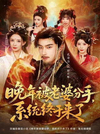 晚年被老婆分手,系统终于来了在线观看
