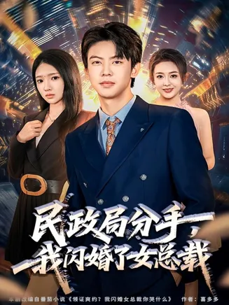 民政局分手，我闪婚了女总裁在线观看