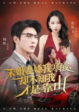 未婚妻嫌我寒酸却不知我才是靠山在线观看