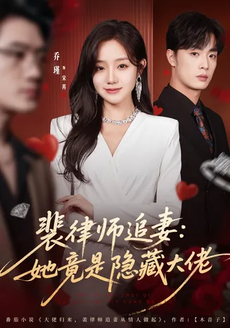 裴律师追妻:她竟是隐藏大佬在线观看