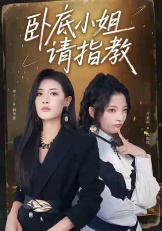 卧底小姐请指教在线观看