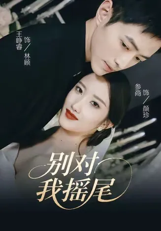 别对我摇尾在线观看