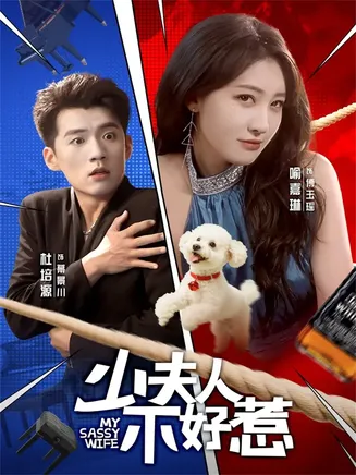 少夫人不好惹在线观看