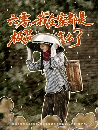 六零,我全家都是极品怎么了在线观看