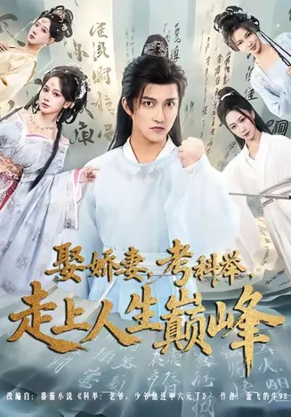 娶娇妻，考科举，走上人生巅峰在线观看