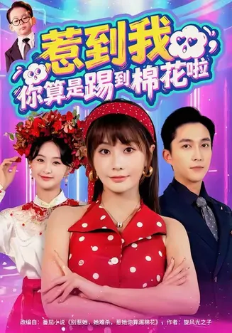 惹到我，你算是踢到棉花啦在线观看