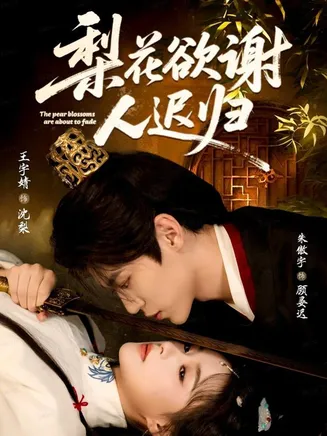 梨花欲谢人迟归在线观看