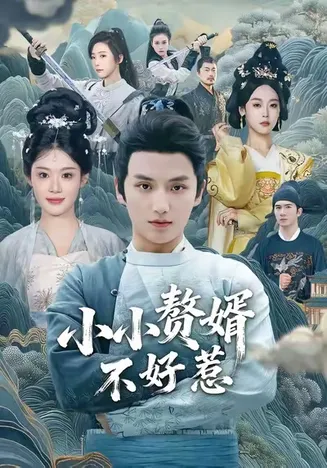 小小赘婿不好惹在线观看