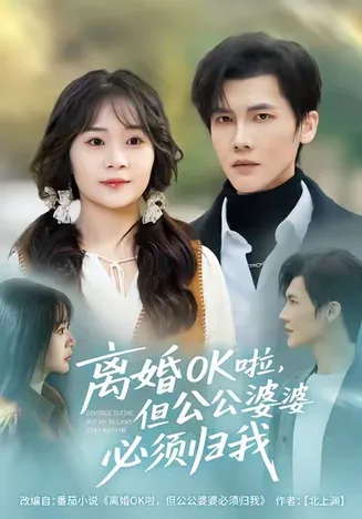 离婚OK啦,但公公婆婆必须归我在线观看
