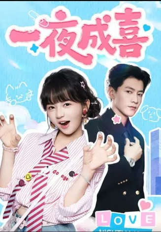 一夜成喜在线观看