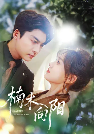 楠木向阳在线观看