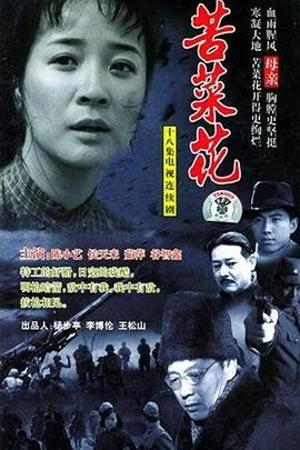 苦菜花2004[电影解说]在线观看