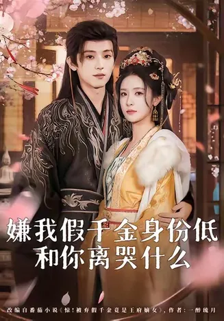 嫌我假千金身份低,和你离哭什么在线观看