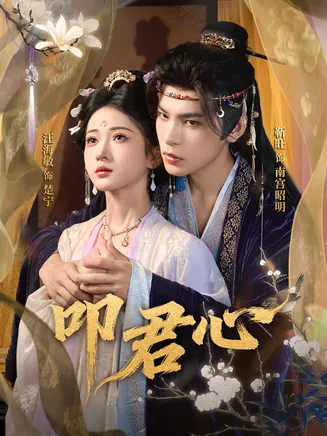 叩君心在线观看