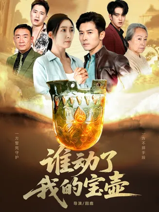 谁动了我的宝壶在线观看