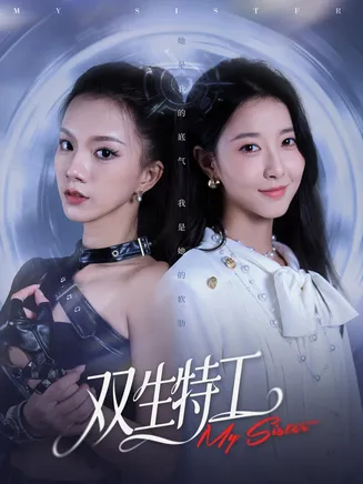 双生特工在线观看