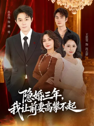 隐婚三年我让前妻高攀不起在线观看