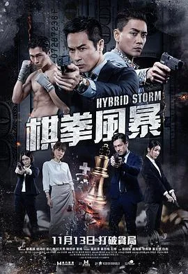 棋拳风暴在线观看