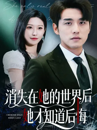 消失在她的世界后她才知道后悔在线观看