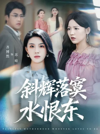 斜辉落寞水恨东在线观看