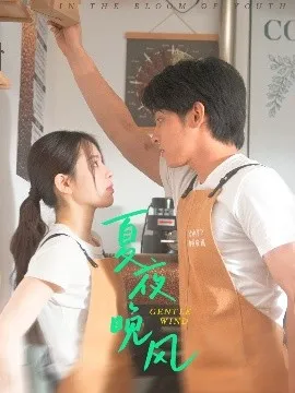 夏夜晚风在线观看