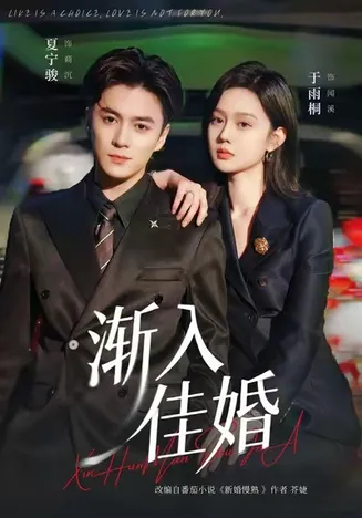 渐入佳婚在线观看