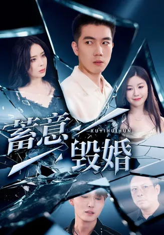 蓄意毁婚在线观看