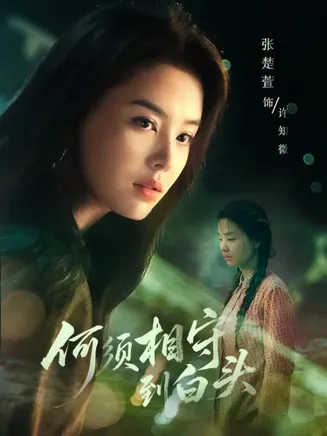 何须相守到白头在线观看