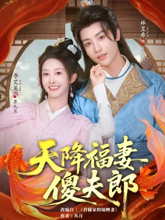 天降福妻傻夫郎在线观看
