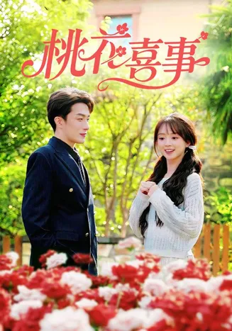桃花喜事在线观看